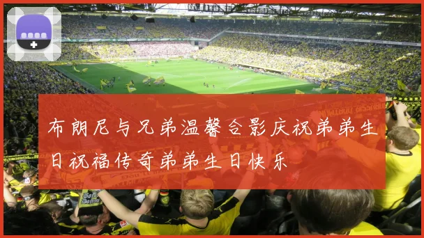 布朗尼与兄弟温馨合影庆祝弟弟生日祝福传奇弟弟生日快乐