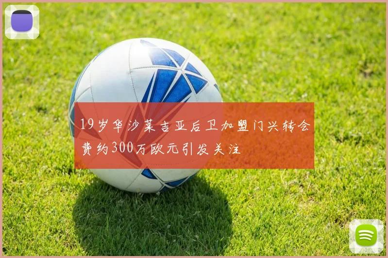 19岁华沙莱吉亚后卫加盟门兴转会费约300万欧元引发关注